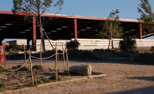 Foto de Equestrian Center El Madroño