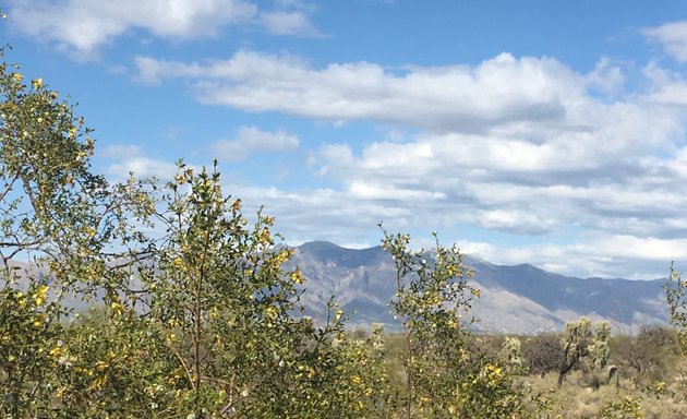 Photo of Greasewood Park