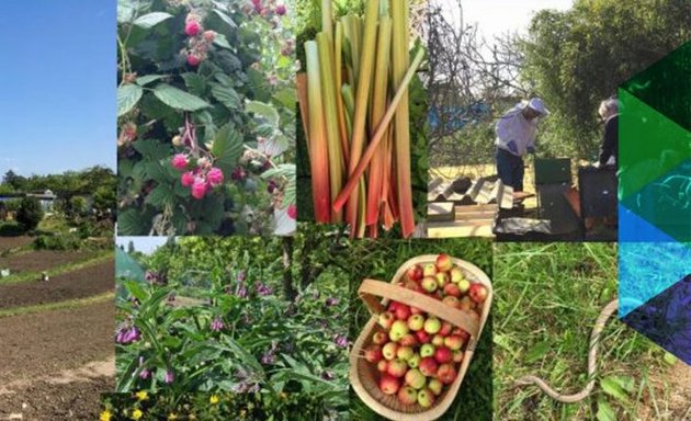 Photo of Fuel Land Allotments