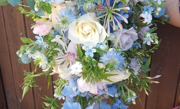 Photo of Fiona Hogg Floral Designs