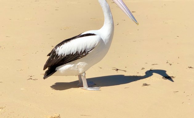 Photo of Tangalooma Island Resort