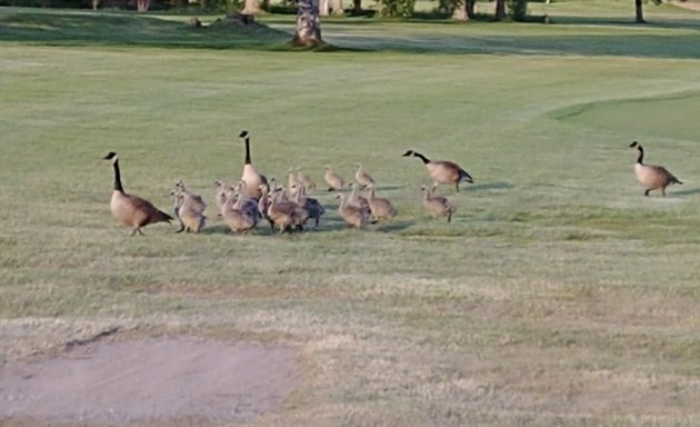 Photo of Stittsville Golf Course