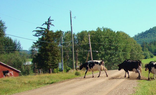 Photo of Agriculture Land Commission