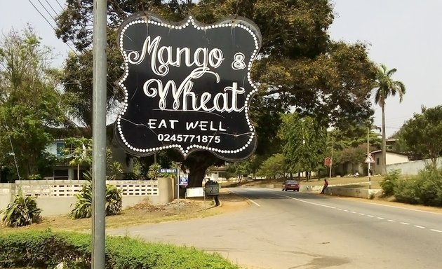 Photo of Mango And Wheat