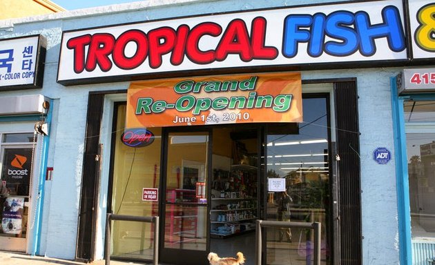 Photo of Fumi's Tropical Fish & Pets
