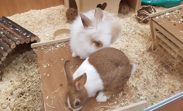 Photo of Pets at Home Southampton Shirley