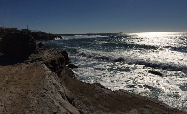 Photo of Point Loma Tide Pools