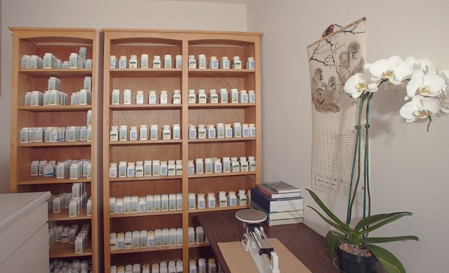 Photo of Tree of Qi Acupuncture Clinic