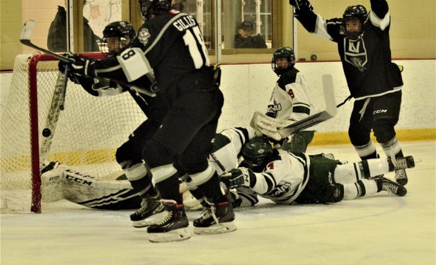 Photo of LaSalle Vipers Jr. B.