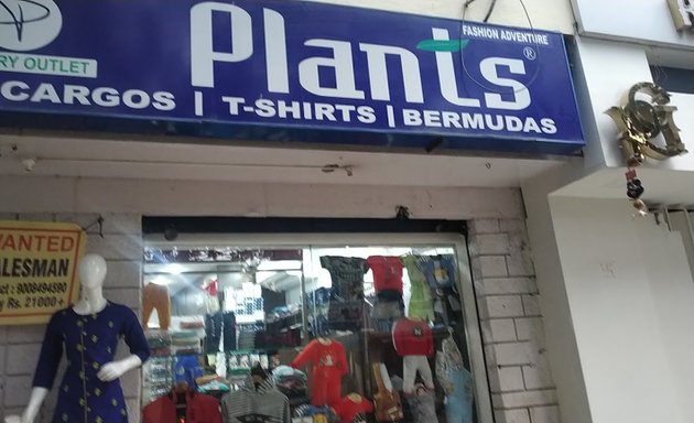 Photo of Plants