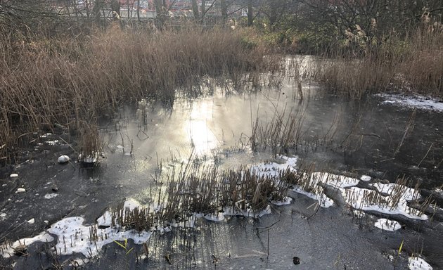 Photo of Bow Creek Ecology Park