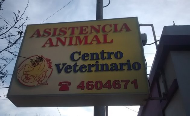 Foto de Asistencia Animal Centro Veterinario