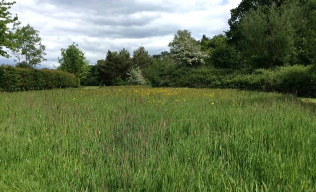 Photo of Field Studies Council - London: Bushy Park