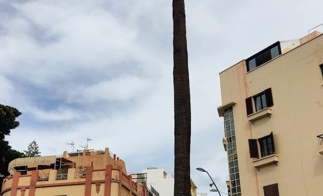 Foto de La Palmera del Parque