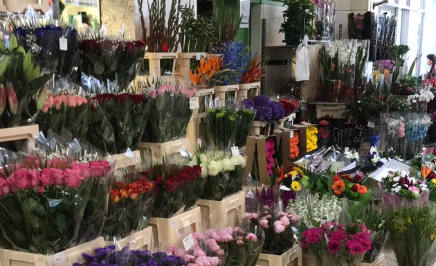 Photo of Isabella Florist