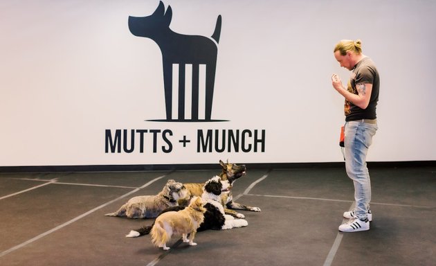 Photo of Mutts + Munch Training + Daycare