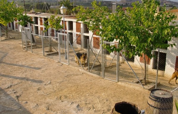 Foto de Finca Los Fresnos | Adiestrador Canino | Formación perros Seguridad Alicante