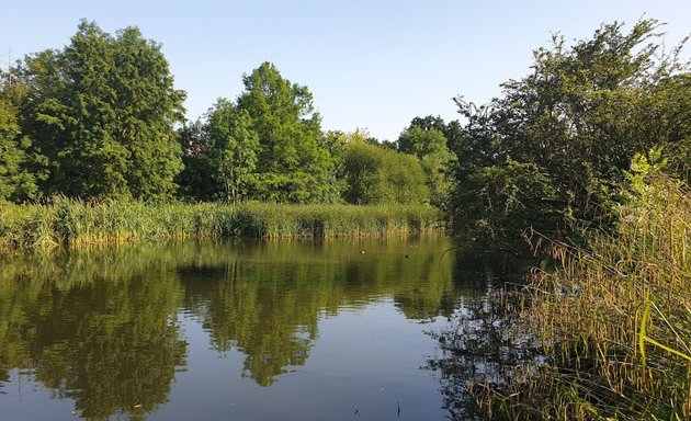 Photo of Harcourt Avenue Open Space