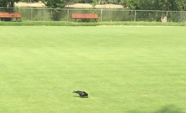 Photo of Denver Croquet Club