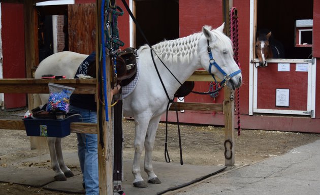 Photo of Flying Manes Therapeutic Riding, Inc.