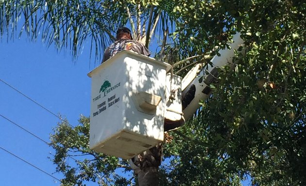 Photo of Stinson Tree Service