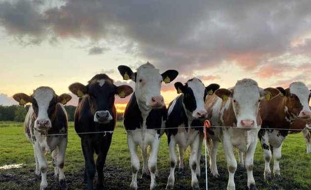 Photo de Jeunes Agriculteurs Haute-Garonne