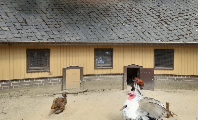 Foto von Hühnerhaus