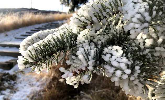 Photo of Nose Hill Berkley Gate Parking Lot