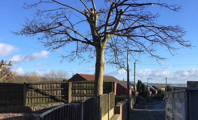 Photo of Horwich Tree Men