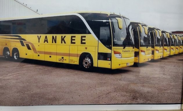 Photo of A Yankee Line, Inc.