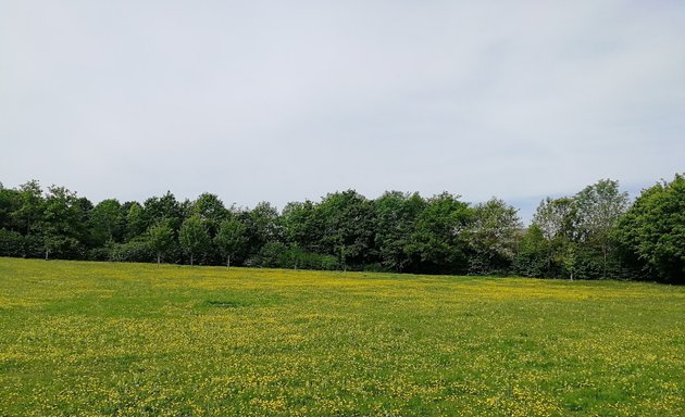 Photo of Stonepit Field (Great Linford)