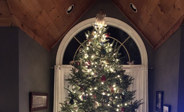 Photo of McKay's Christmas Trees