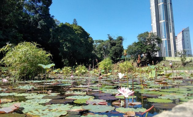 Foto de Laguna Venezuela