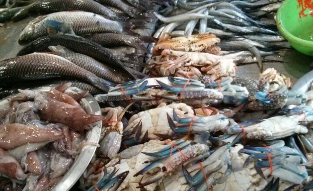 Photo of Naidu Fish Stall