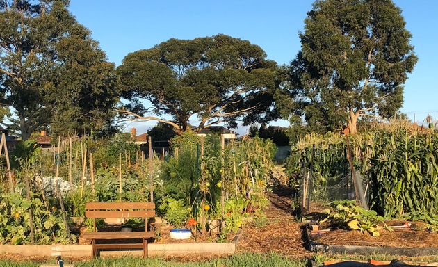 Photo of Avondale Heights Community Garden