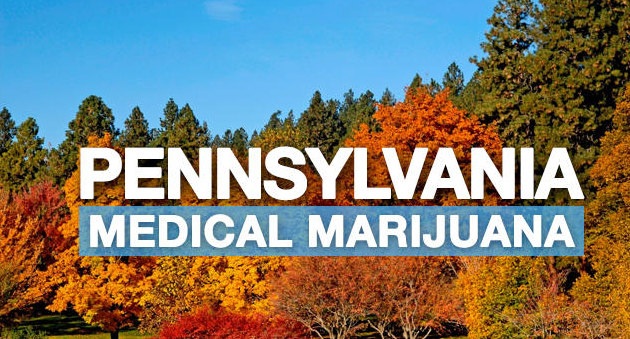 Photo of Herbal Care Rx | PA Medical Marijuana Doctors