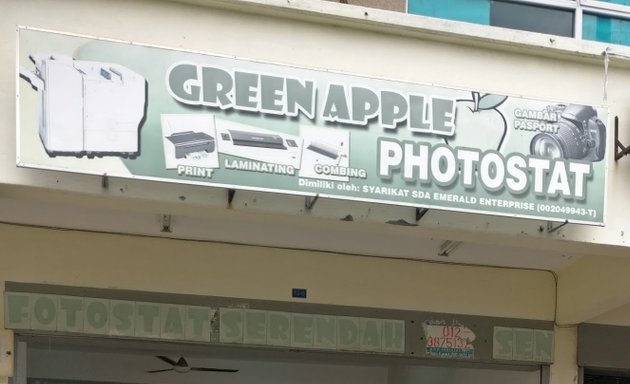 Photo of Green apple photostat and printing