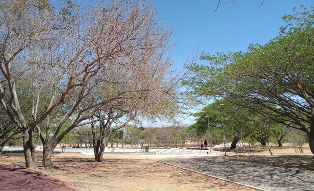 Foto de Parques Y Jardines Guadalajara