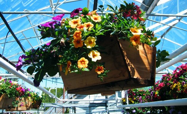 Photo of Green Flora Greenhouses Ltd.