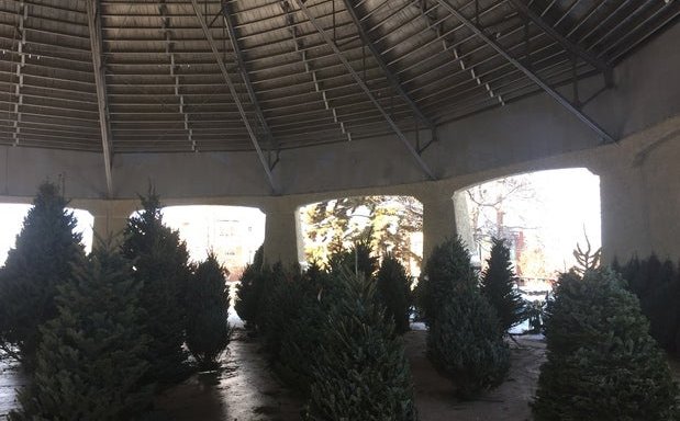 Photo of Neighborhood Christmas Tree Company