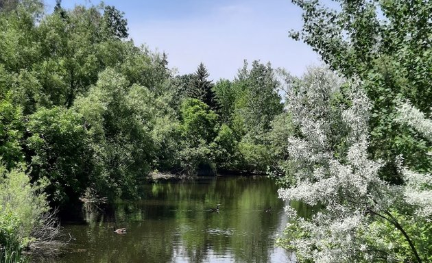 Photo of Willowfield Gardens Park