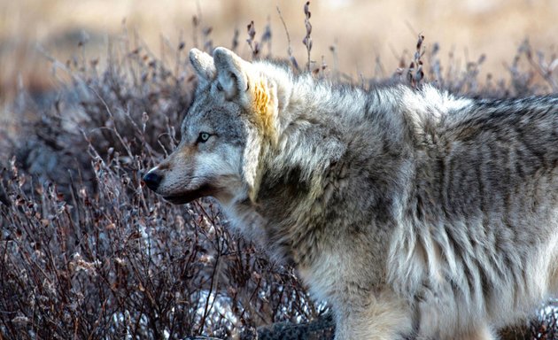 Photo of Frontier Canada