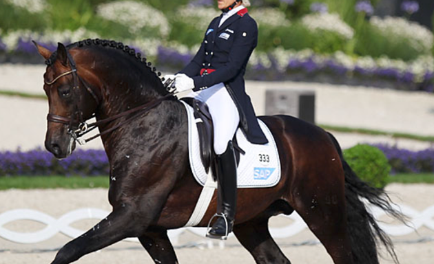 Photo of Mariana Broucher Dressage