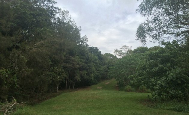 Photo of Banks Street Reserve