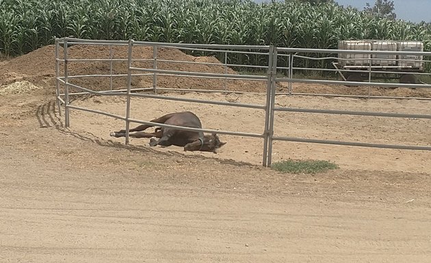 Photo of Rancho La Palma