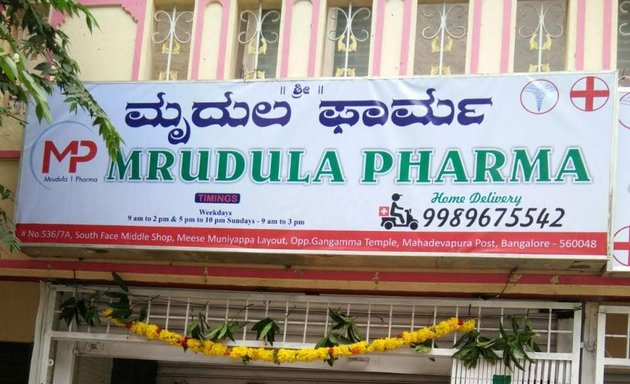 Photo of Mrudula Pharma