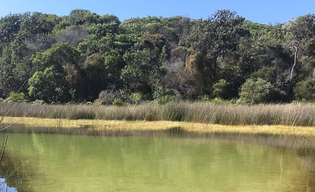 Photo of Yellow Patch camping zone