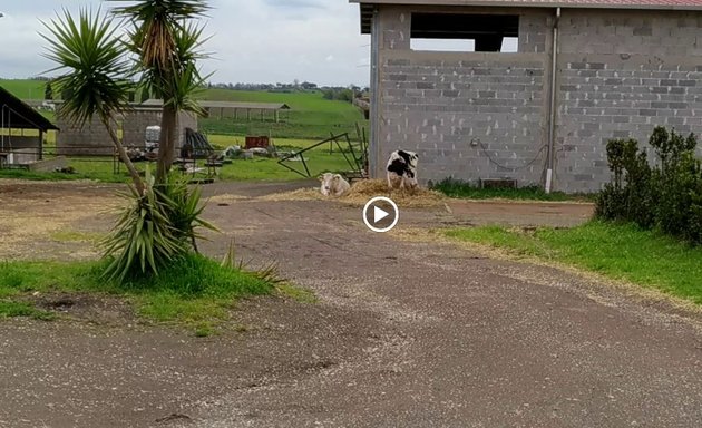 foto Azienda Agricola La Collinetta Di Francesco & Maurizio Evangelisti