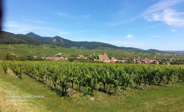 Foto von WineWeinVinoVin wine tours to Alsace