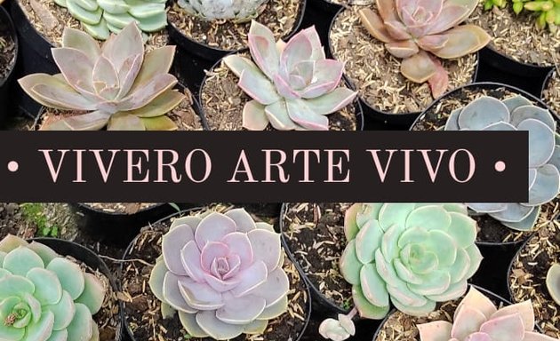 Foto de Vivero Arte Vivo